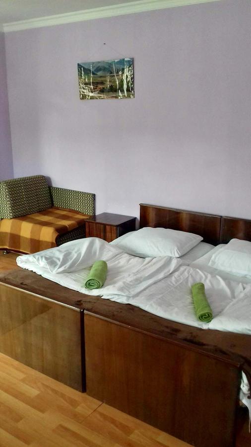 Nino Khetaguri Guest House คัซเบกี ภายนอก รูปภาพ